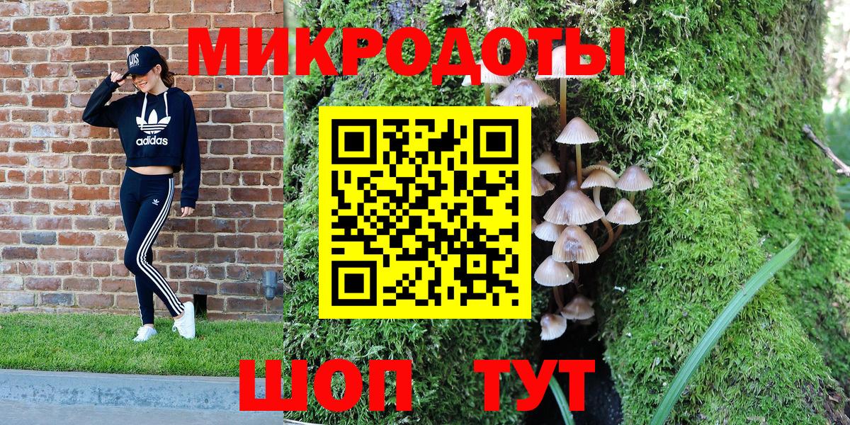 Зеленодольск  Псилоцибиновые грибы MAGIC MUSHROOMS  Галлюциногенные грибы Psilocybine cubensis  Вход с VPN 